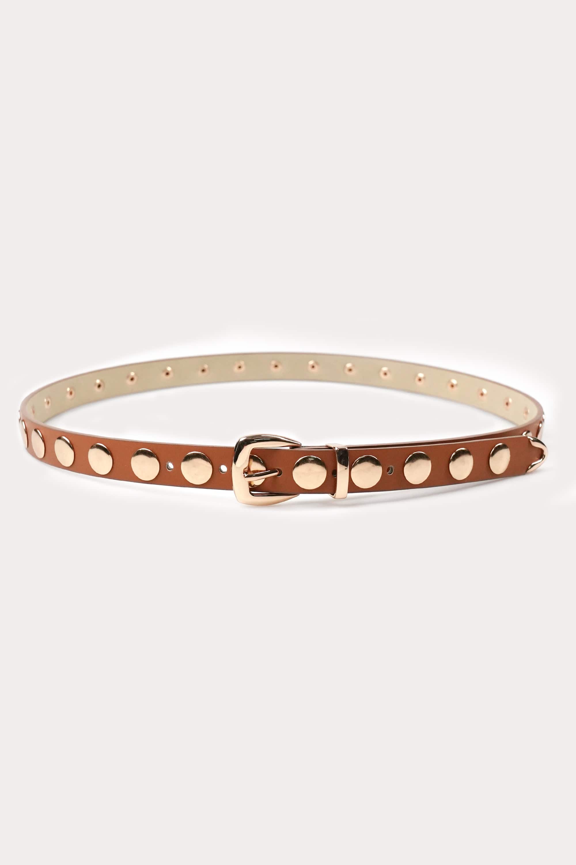 Studded Disc Belt