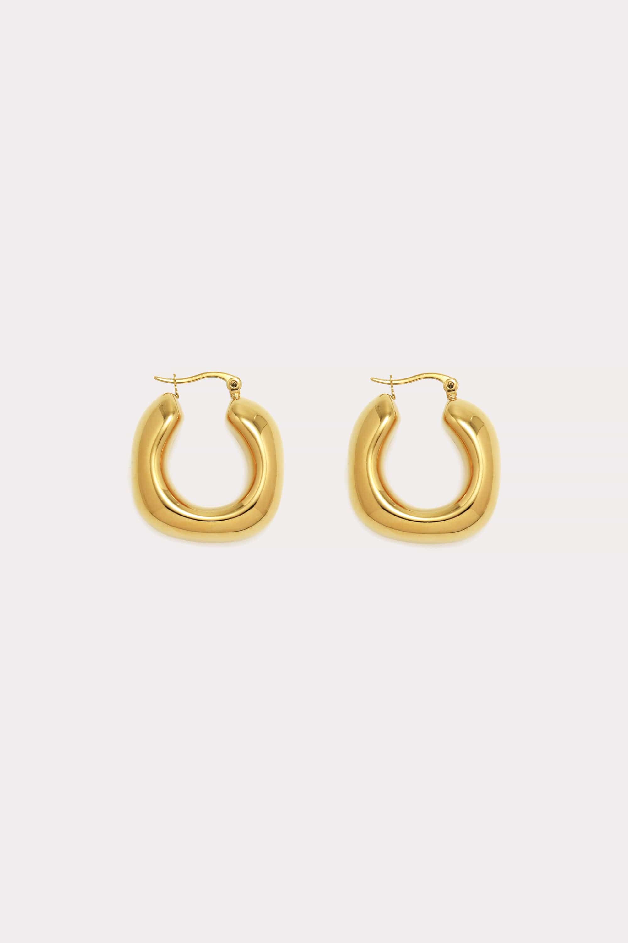 Chubby Hoop Earrings