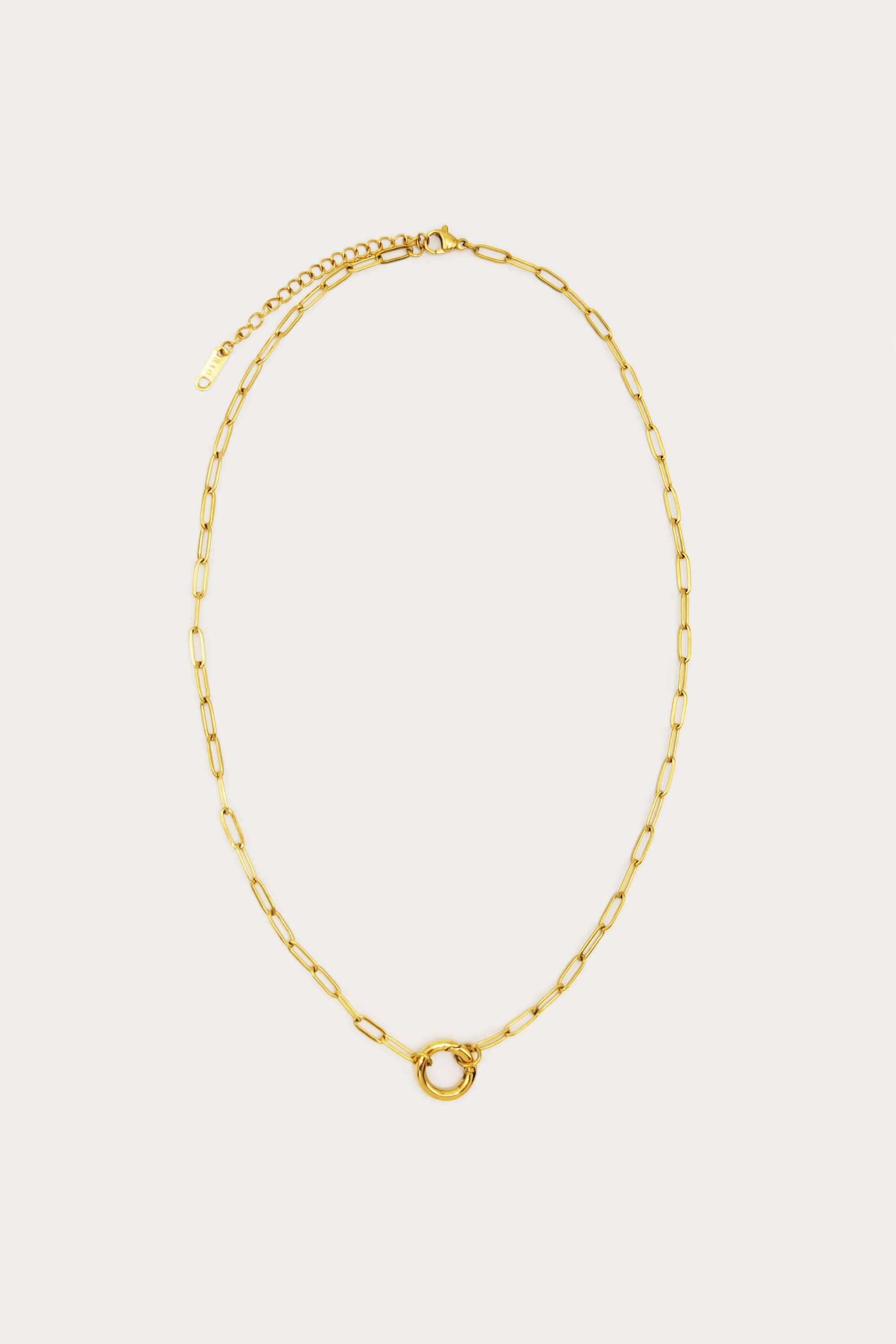Paperclip Carabiner Necklace Chain