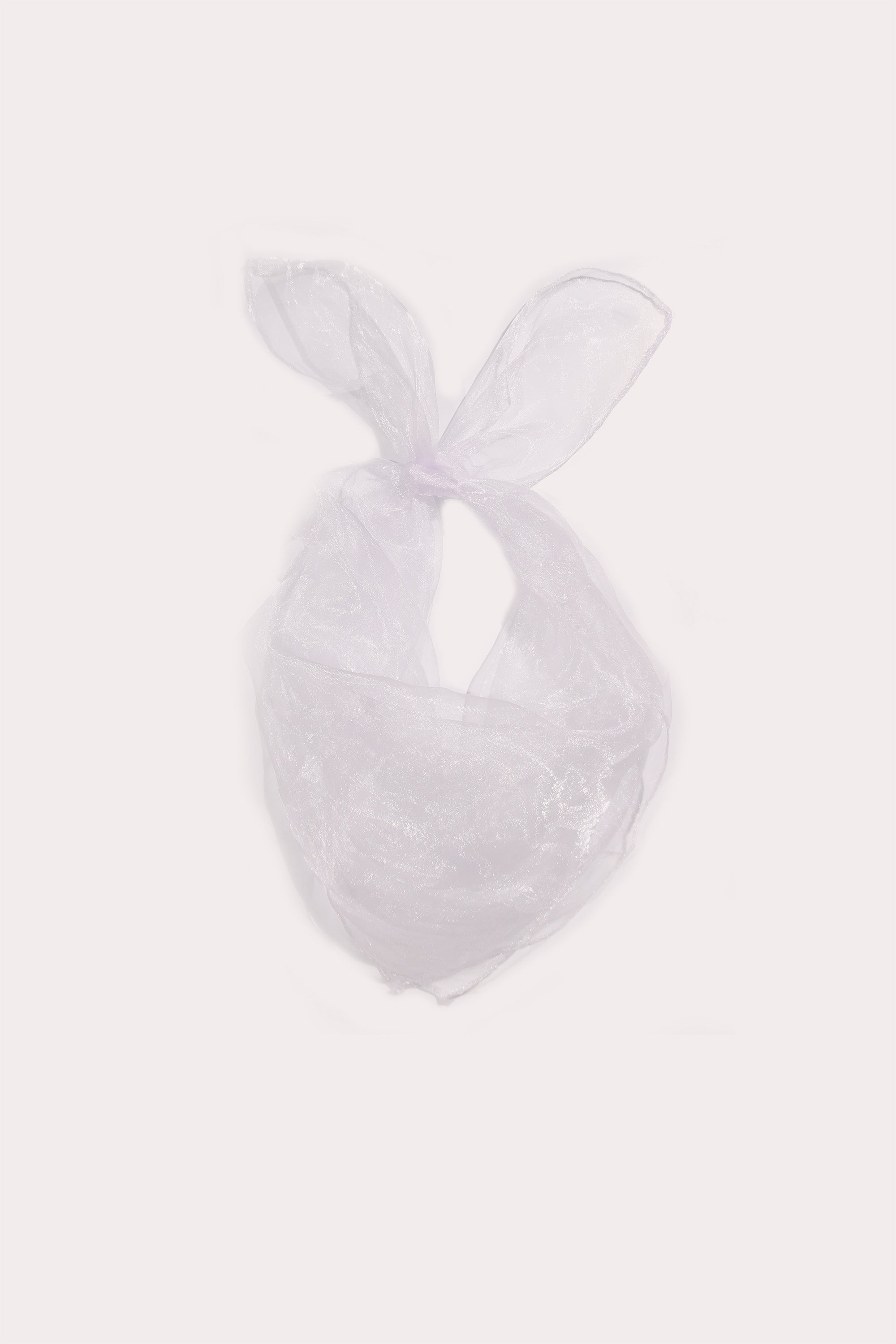 Organza Scarf