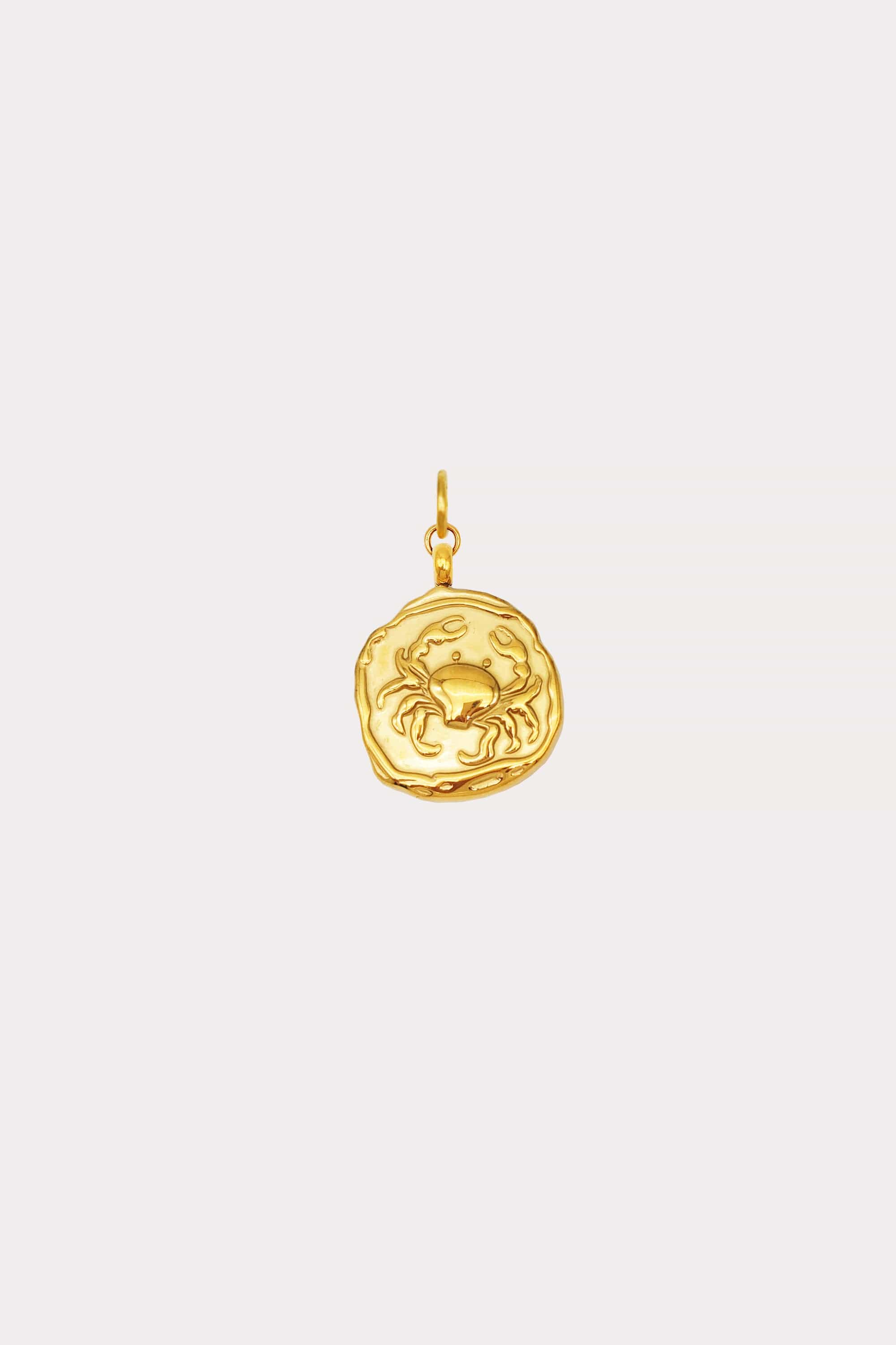 Zodiac Coin Charm