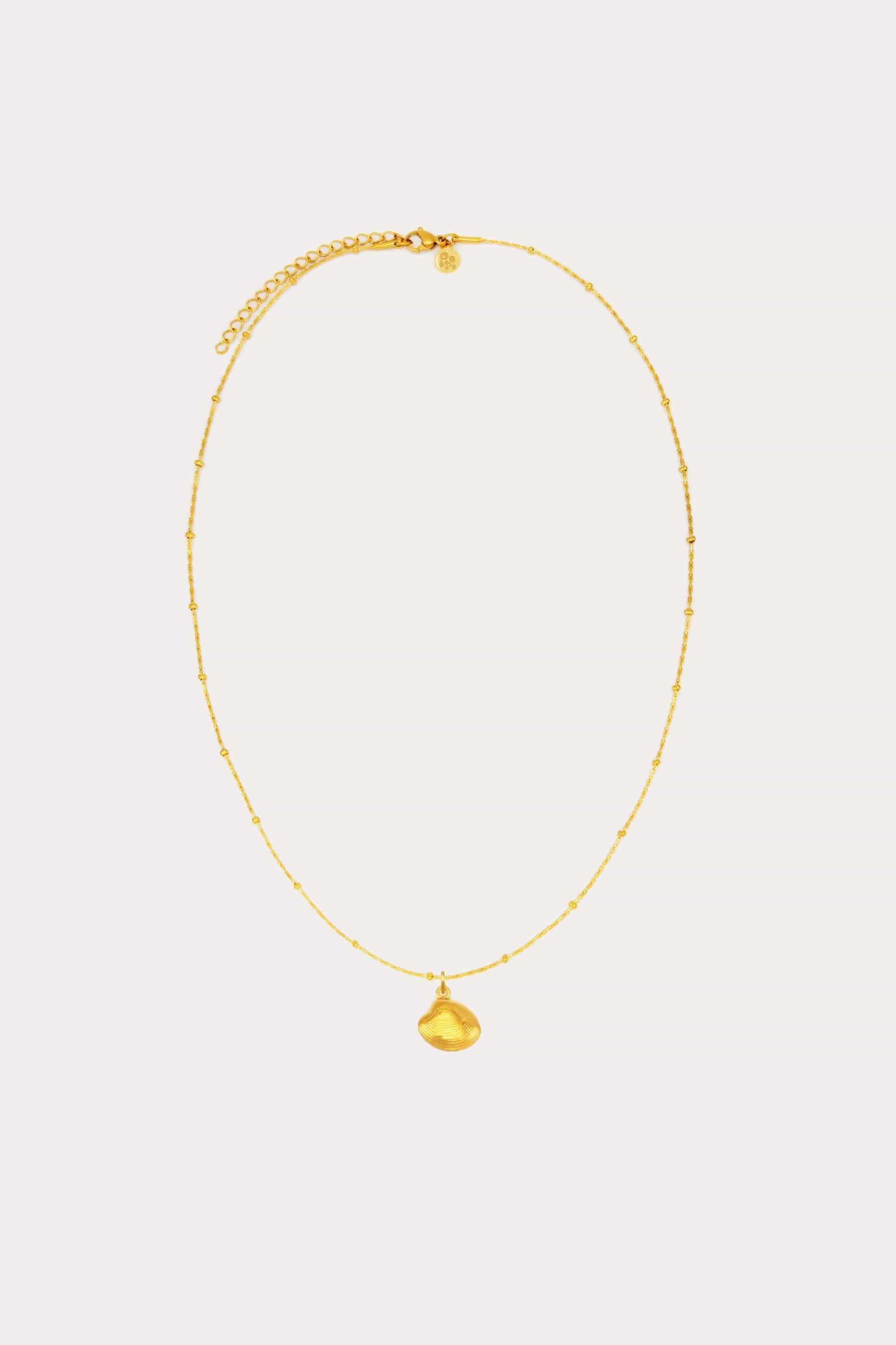 Dainty Shell Charm Necklace