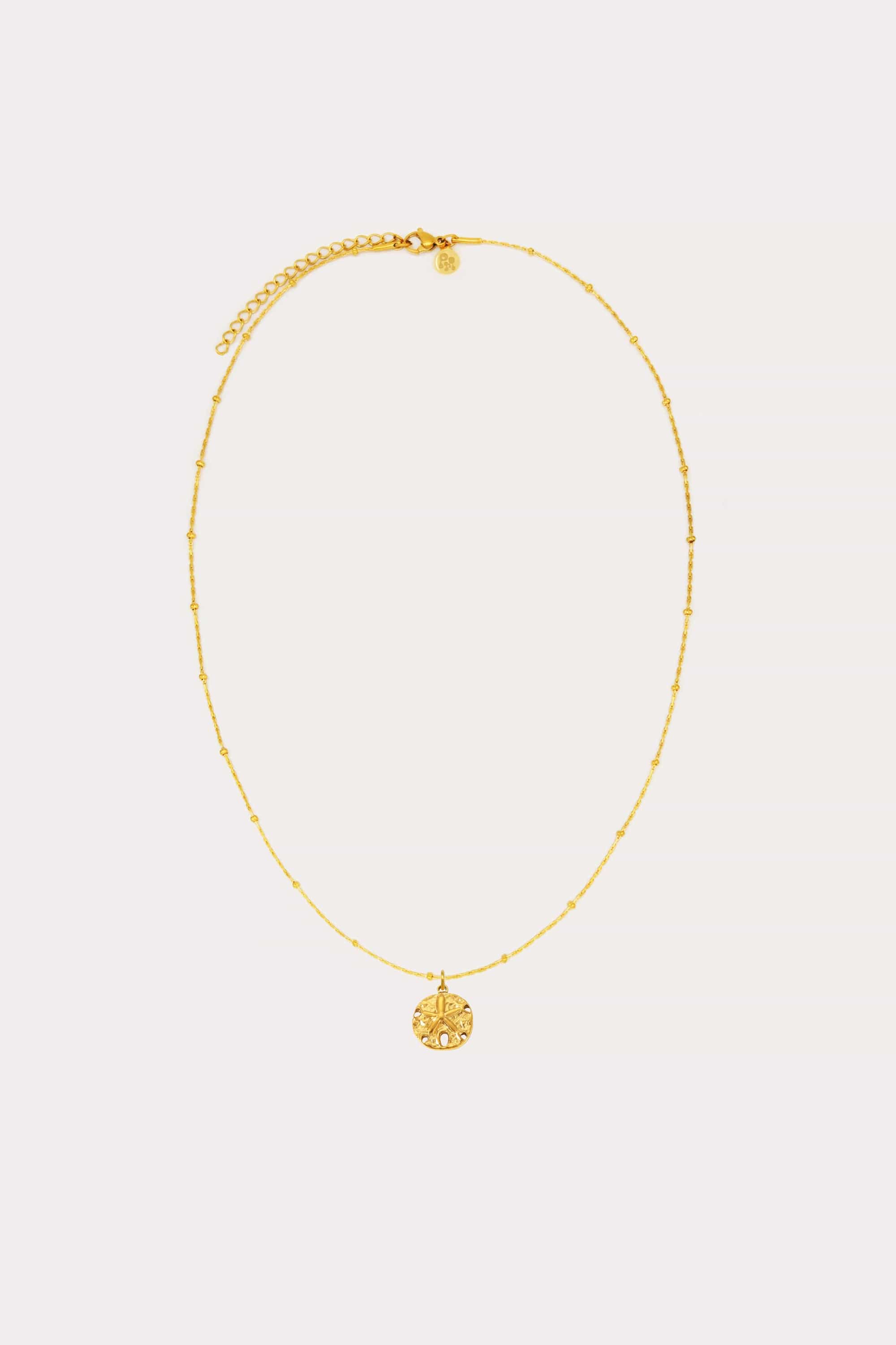 Dainty Shell Charm Necklace