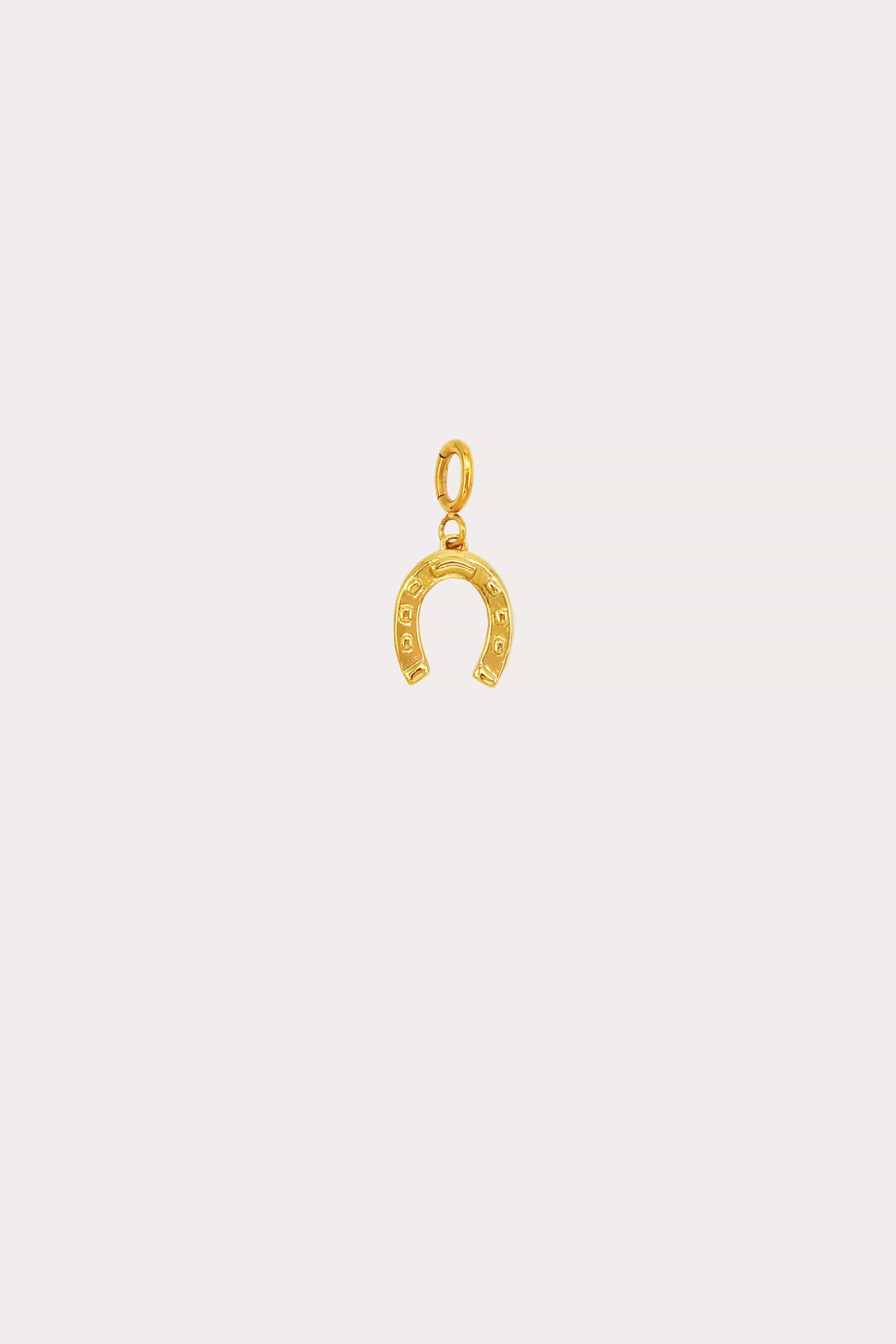 Horseshoe Charm