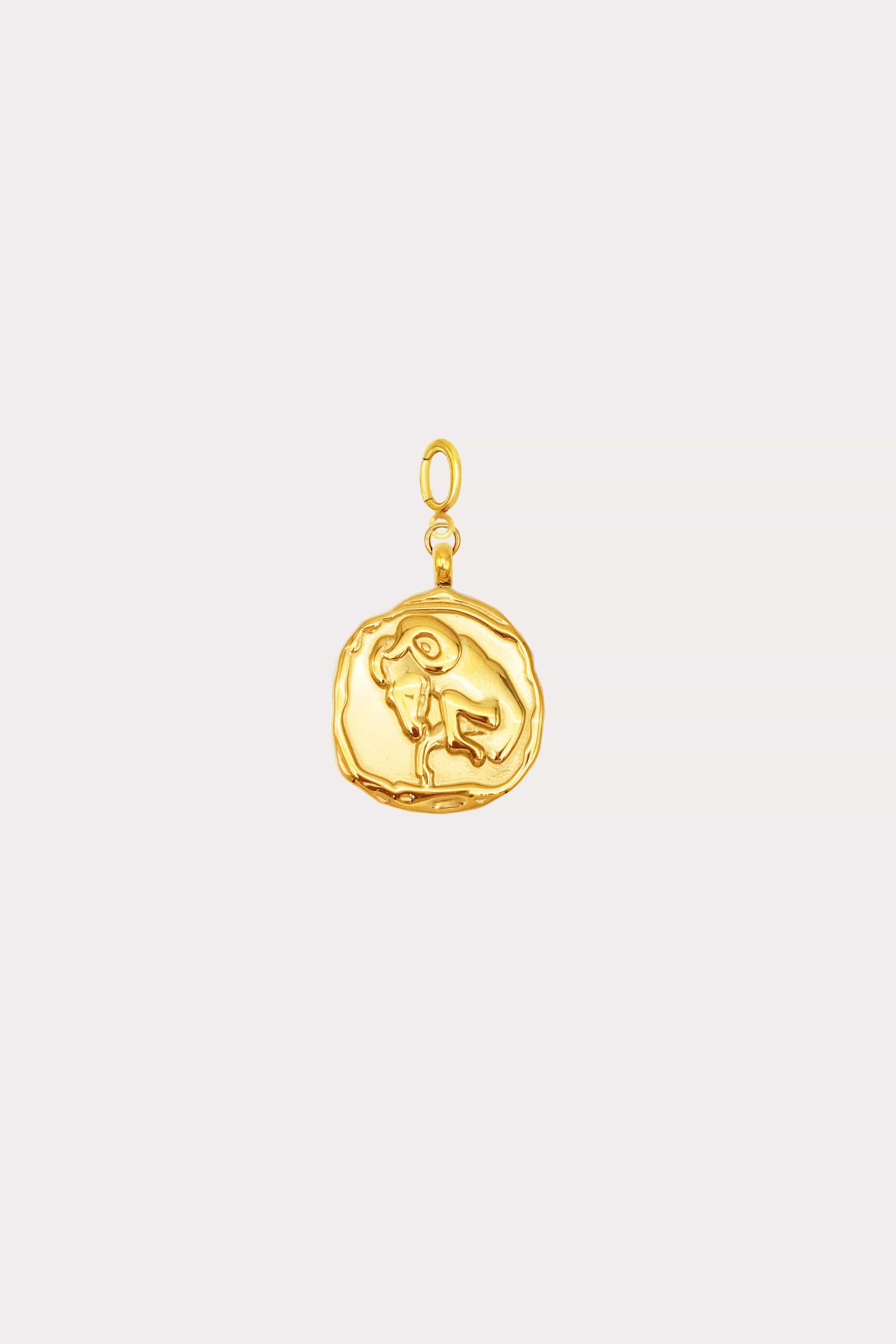 Zodiac Coin Charm