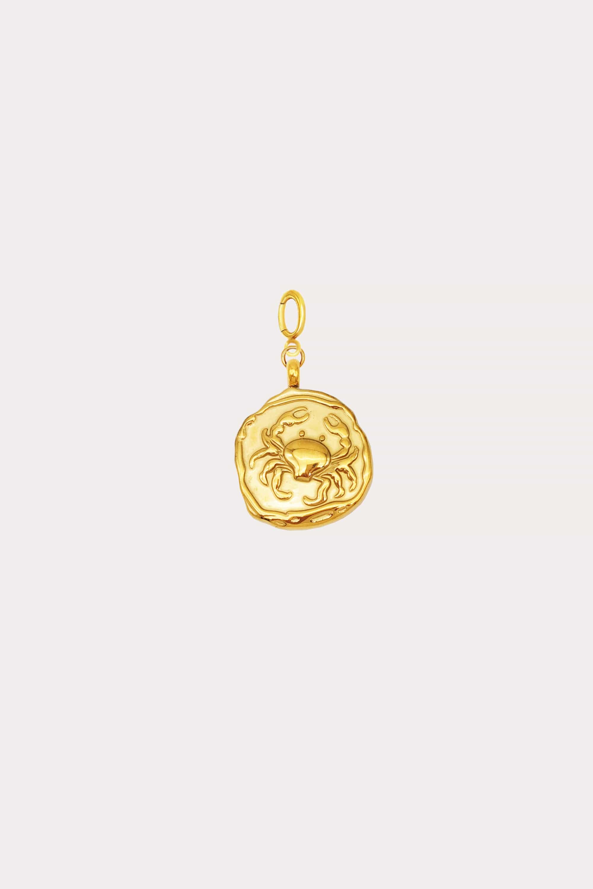 Zodiac Coin Charm