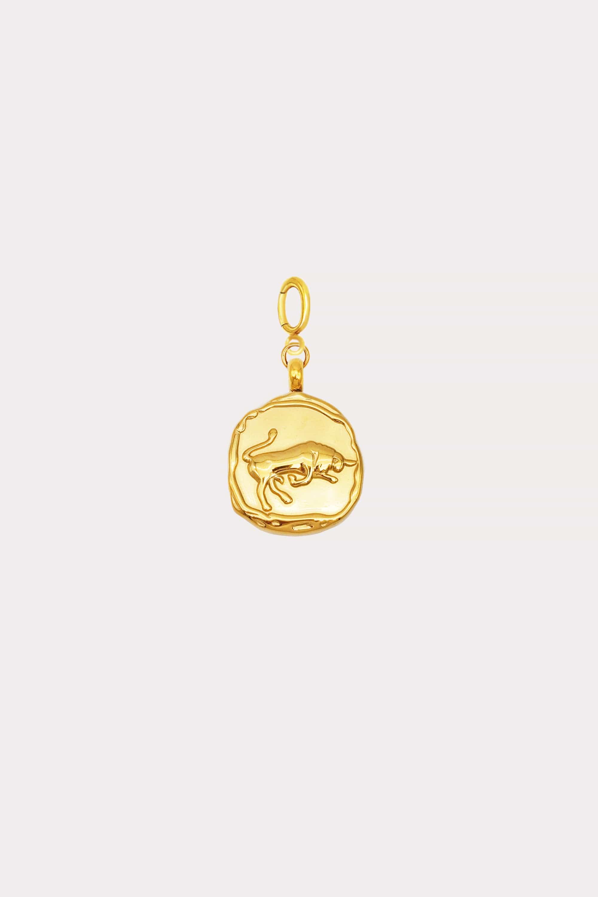 Zodiac Coin Charm