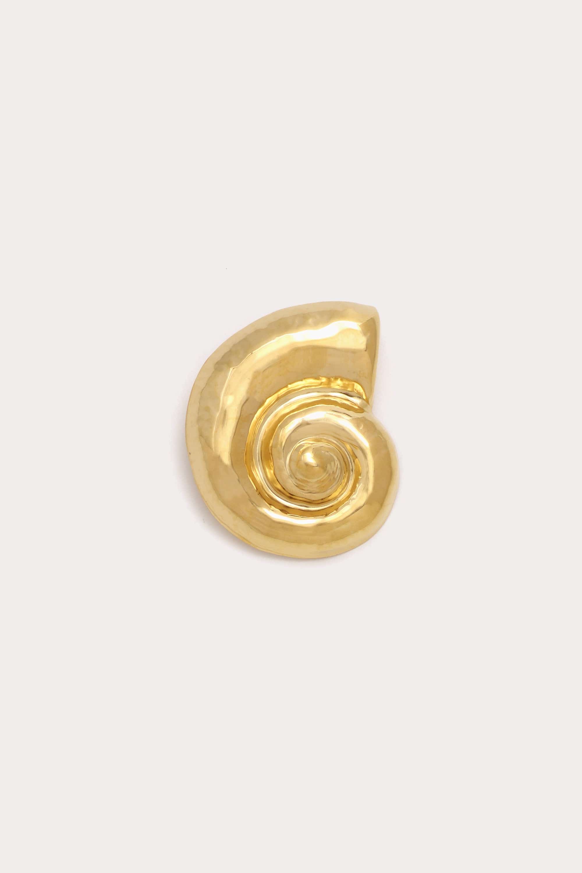 Shell Brooch