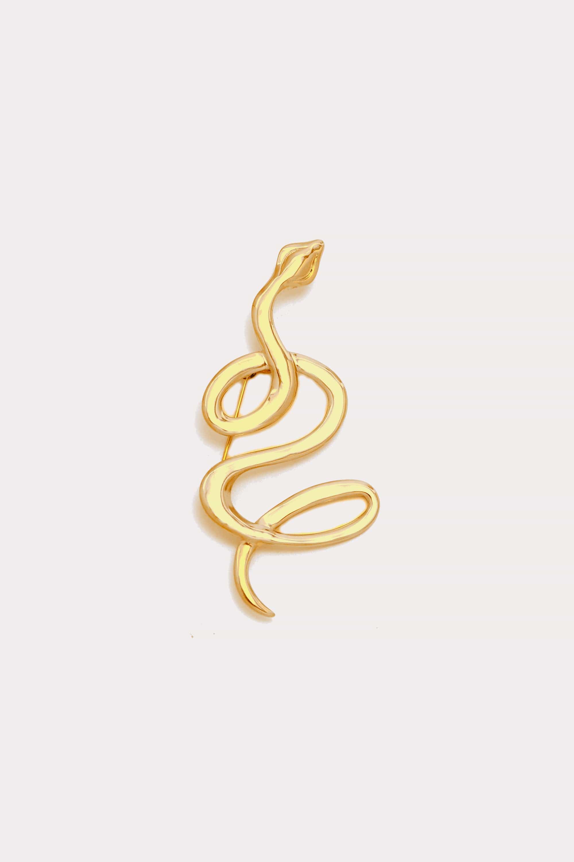 Snake Brooch