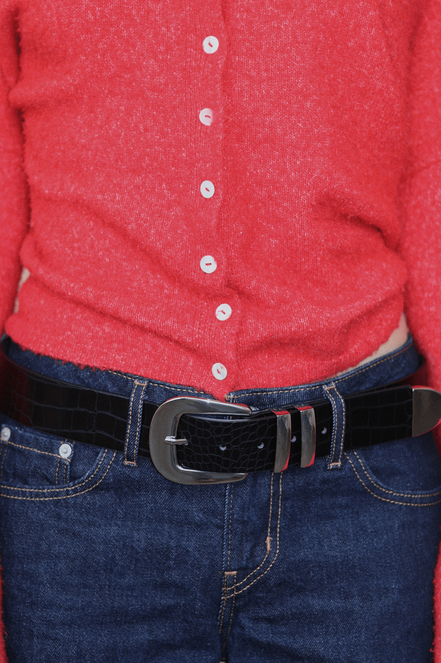 Cher Belt