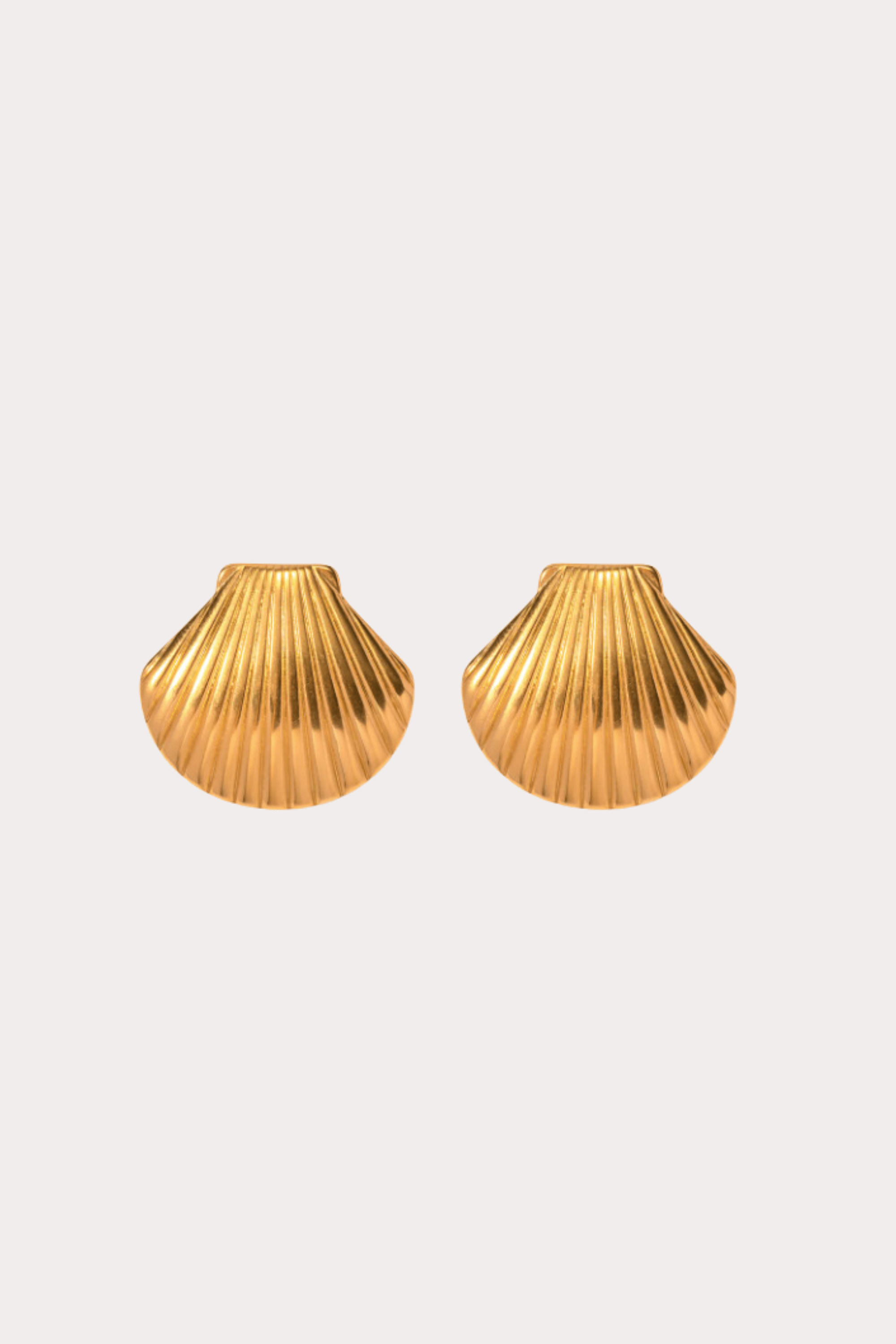Shell Stud Earrings