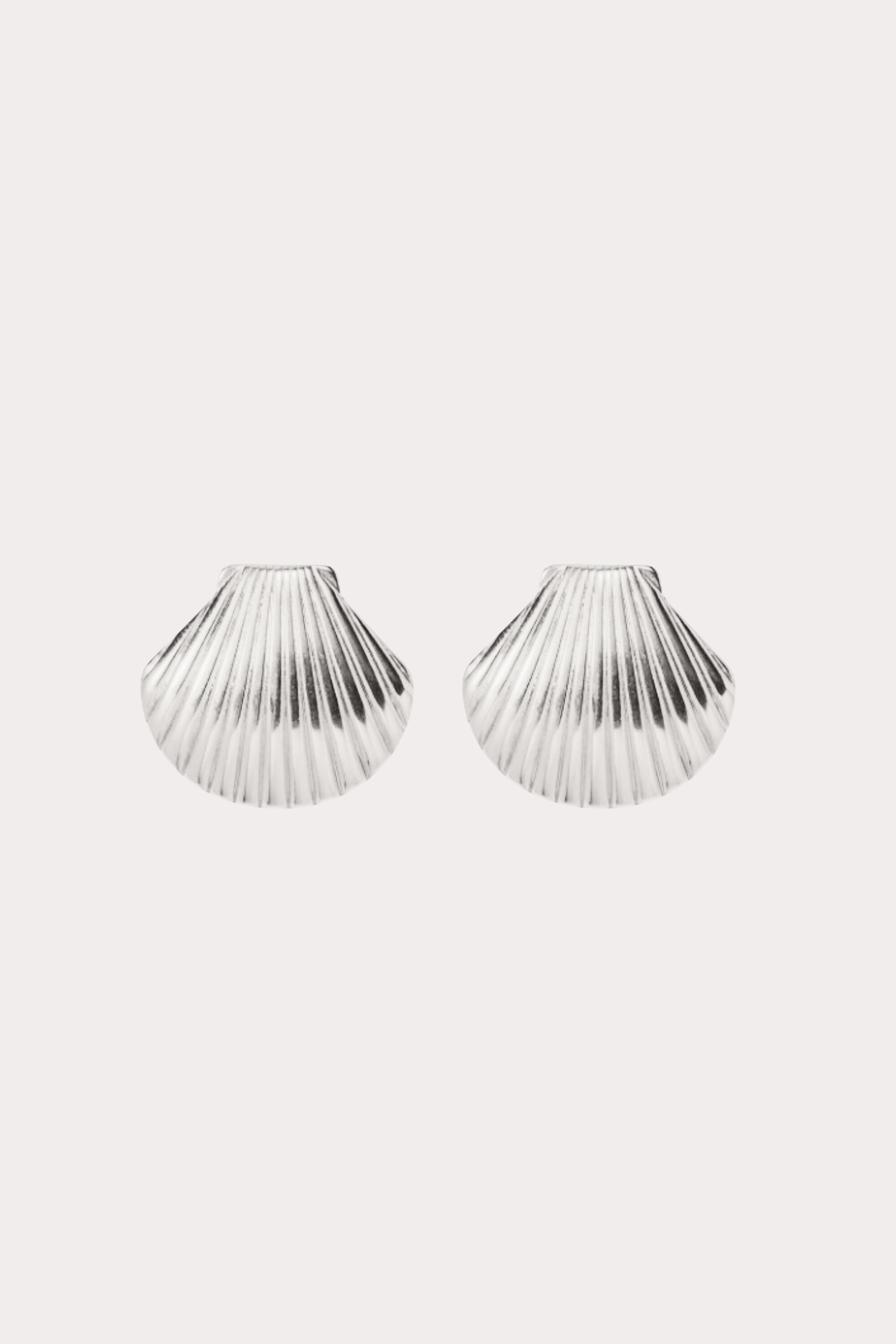 Shell Stud Earrings
