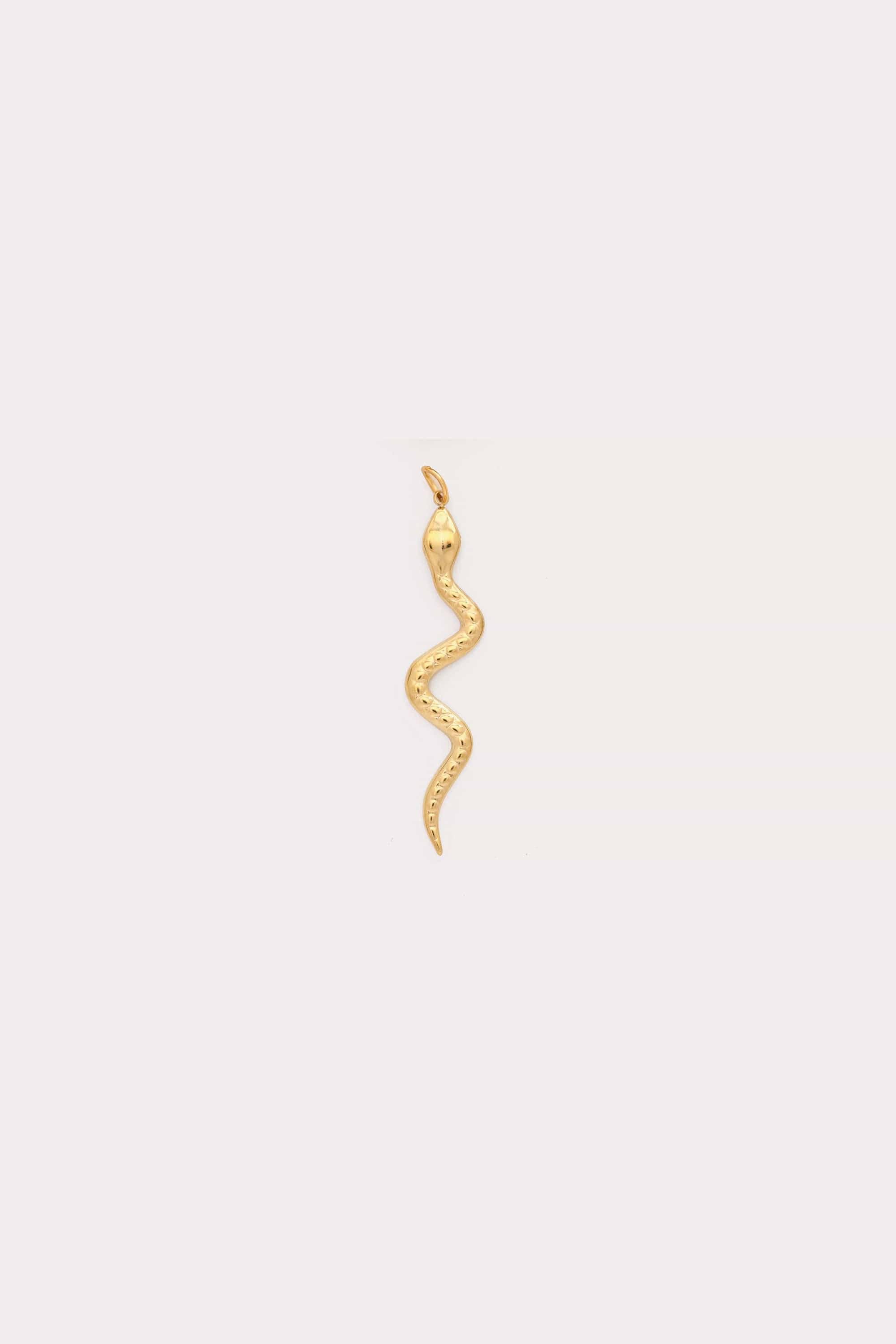 Snake Charm