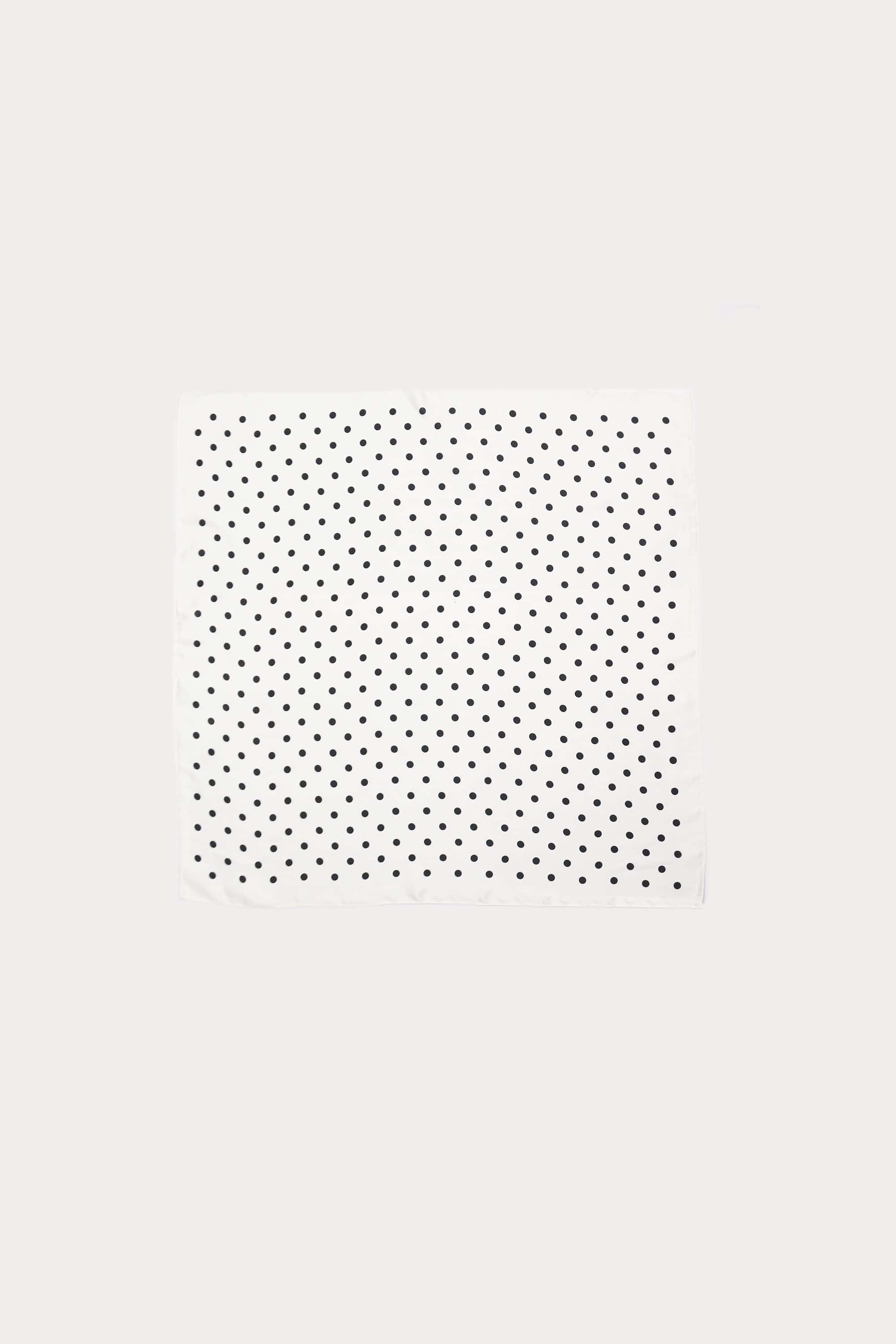 Satin Polka Dot Scarf