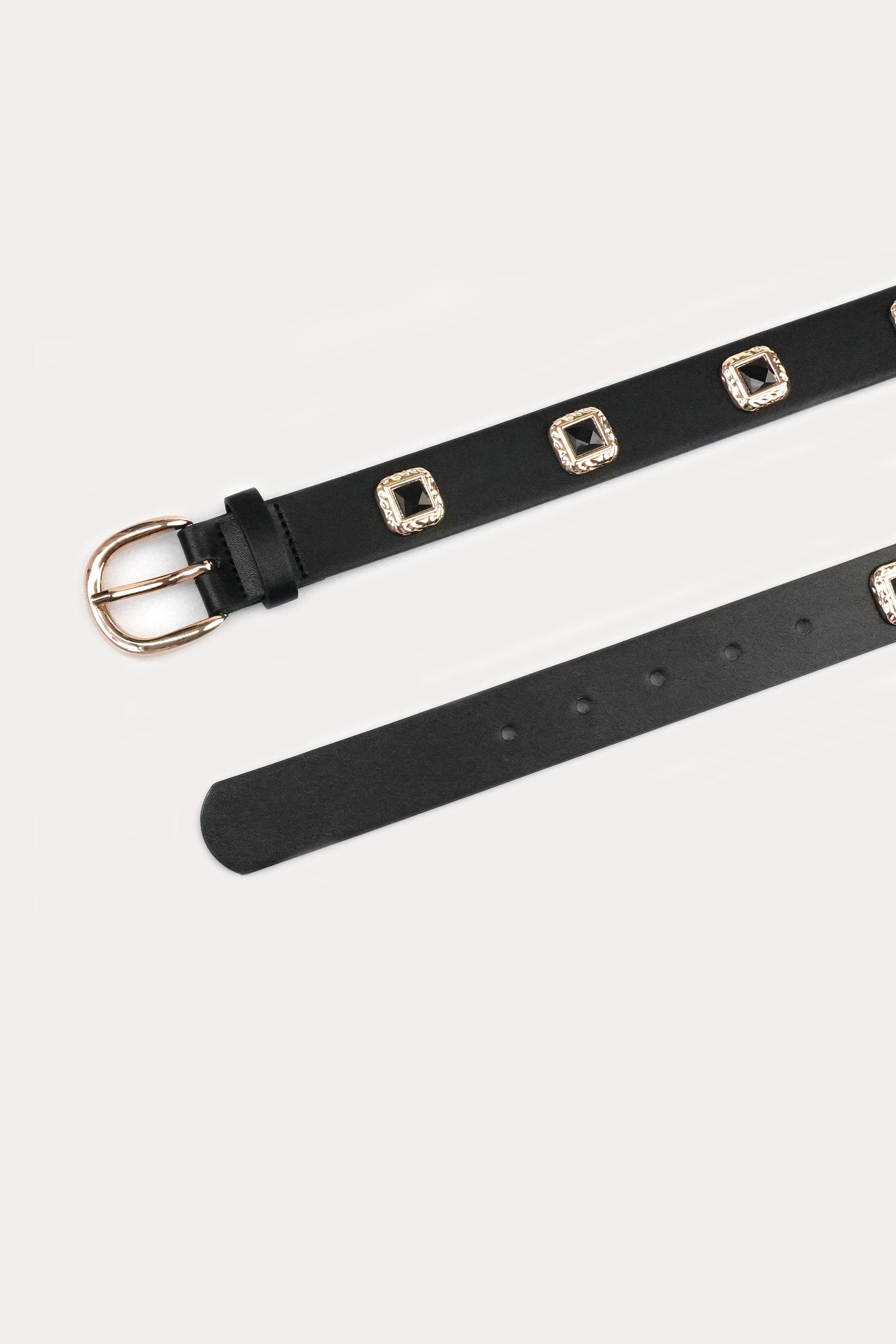 Button Disc Belt