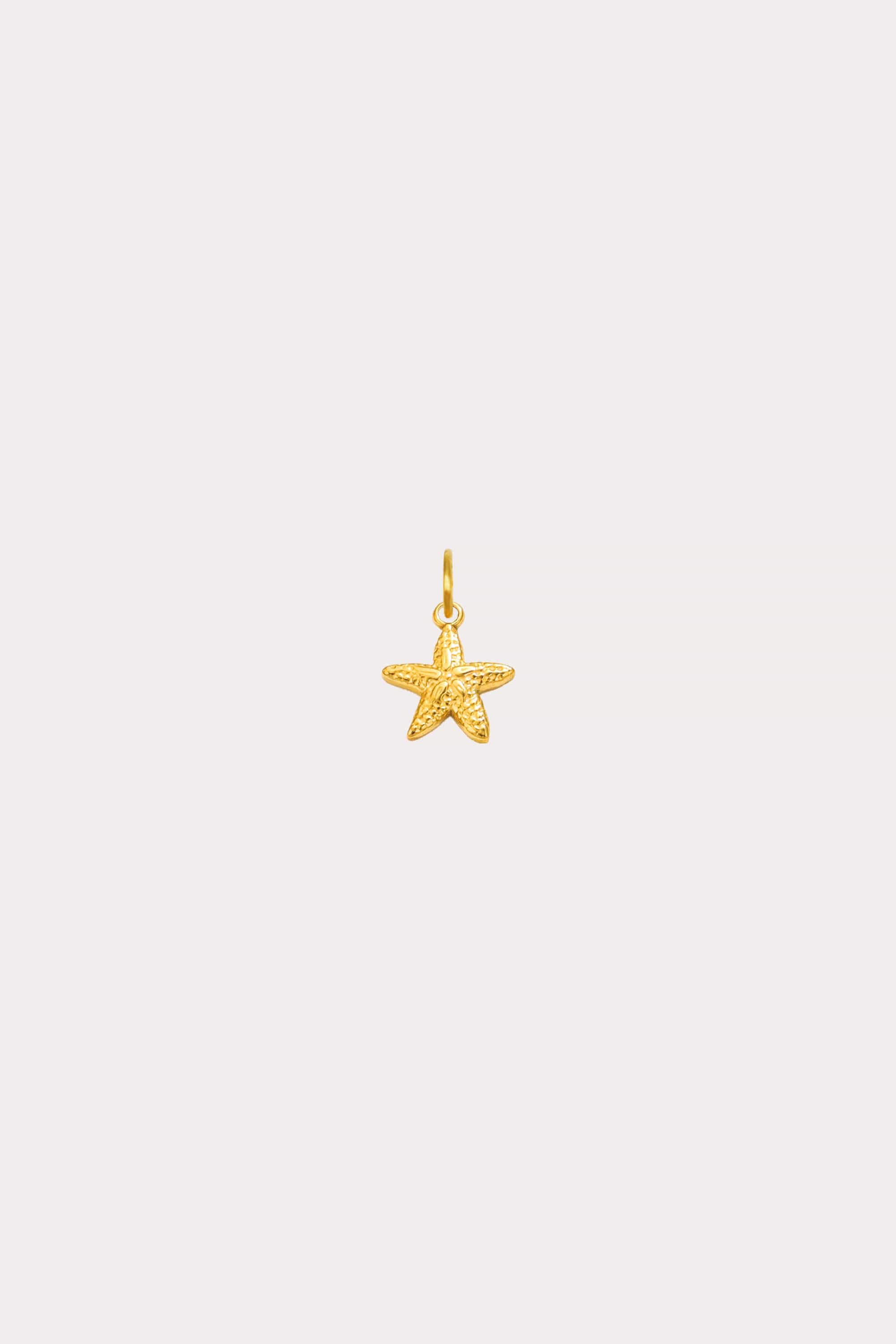 Small Starfish Charm