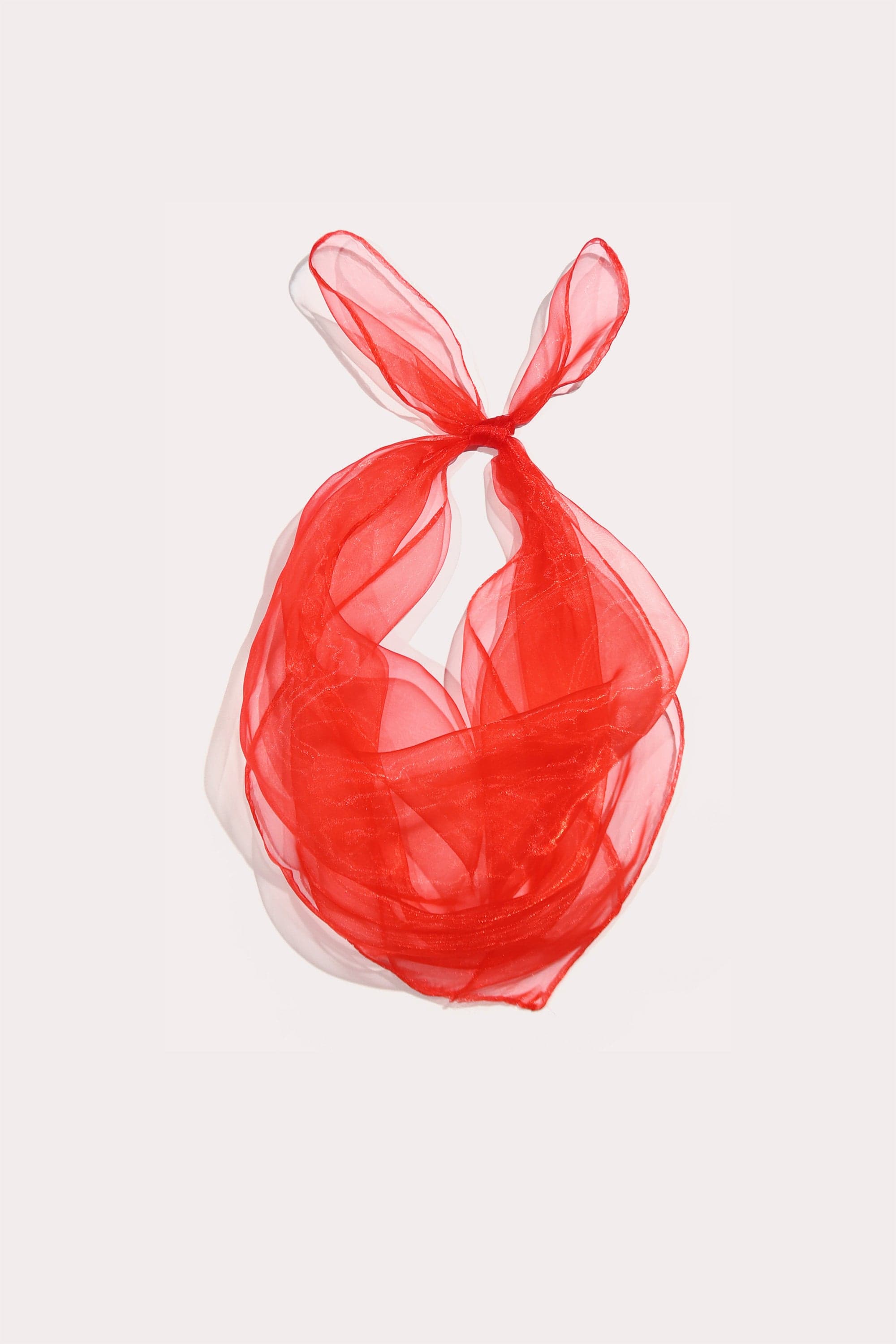 Organza Scarf