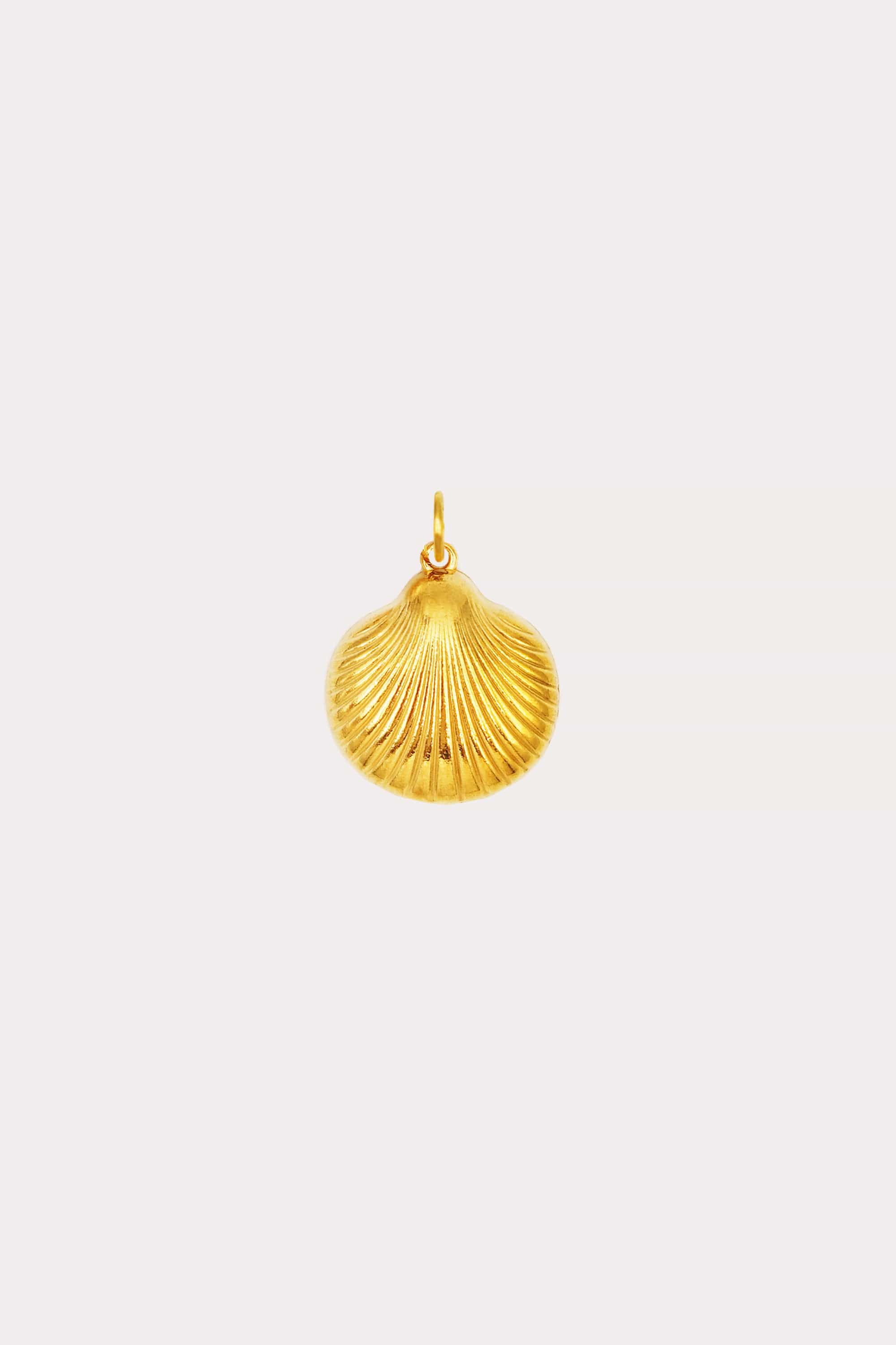 Voyager Charm