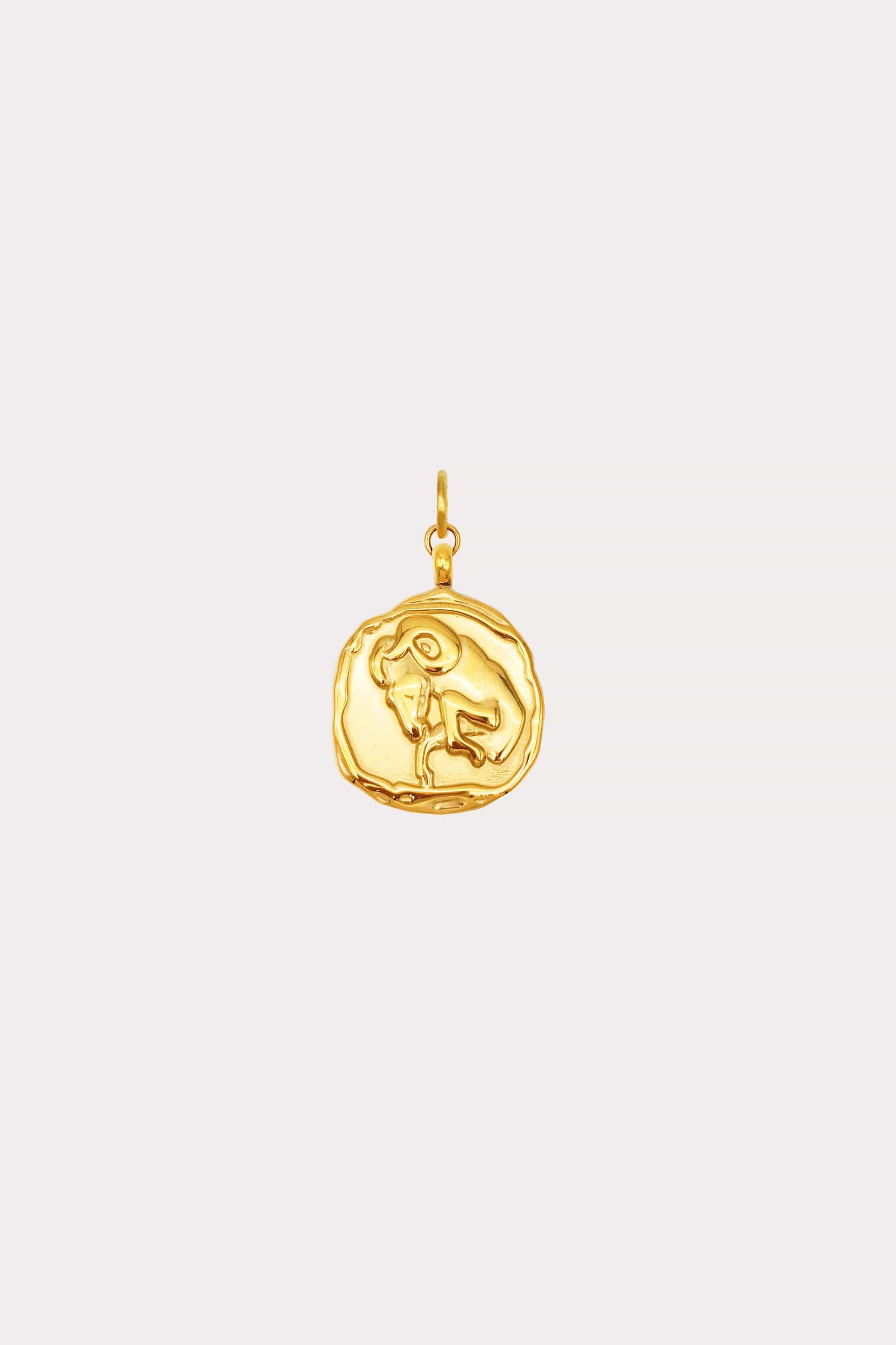 Zodiac Coin Charm