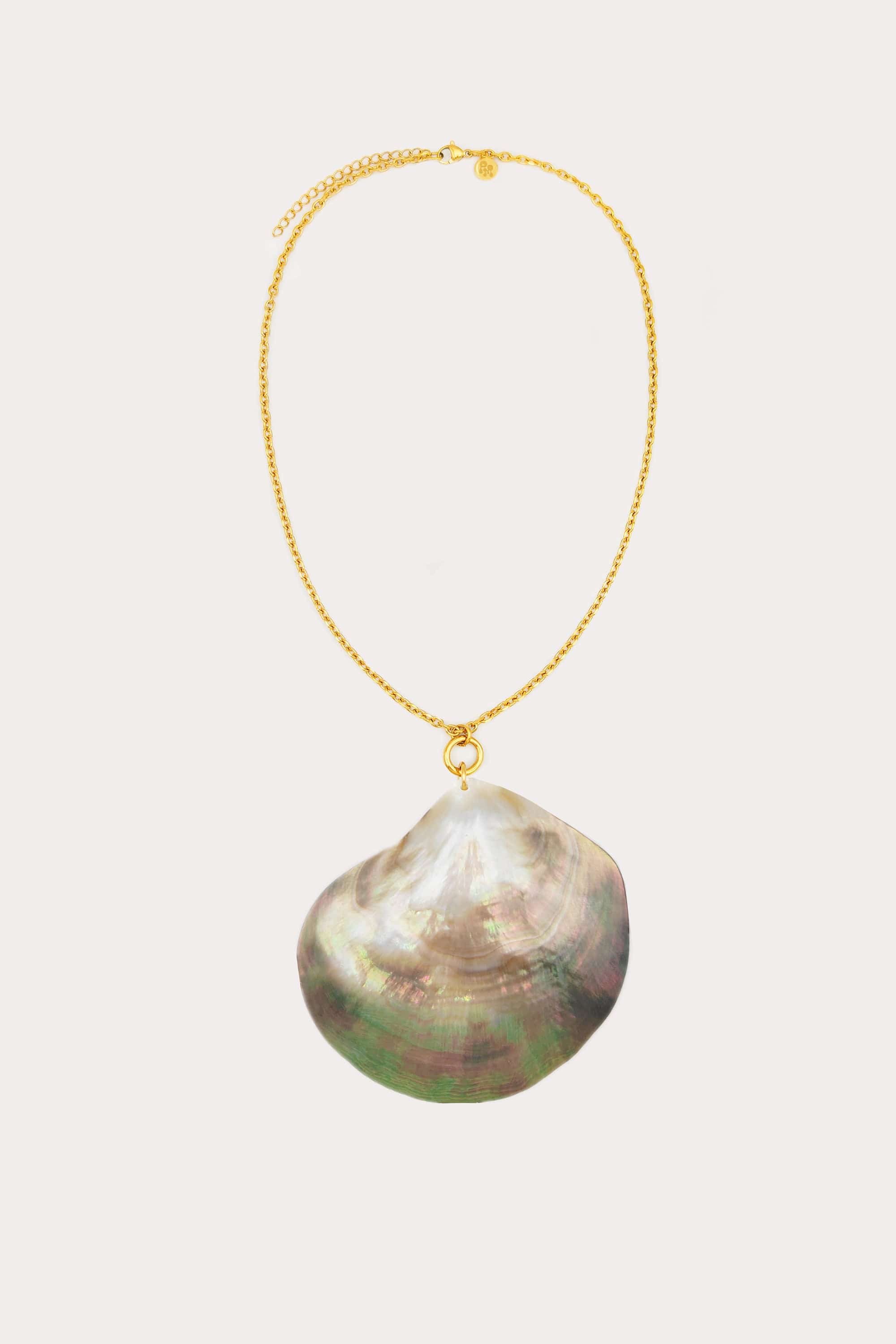 Abalone Shell Necklace