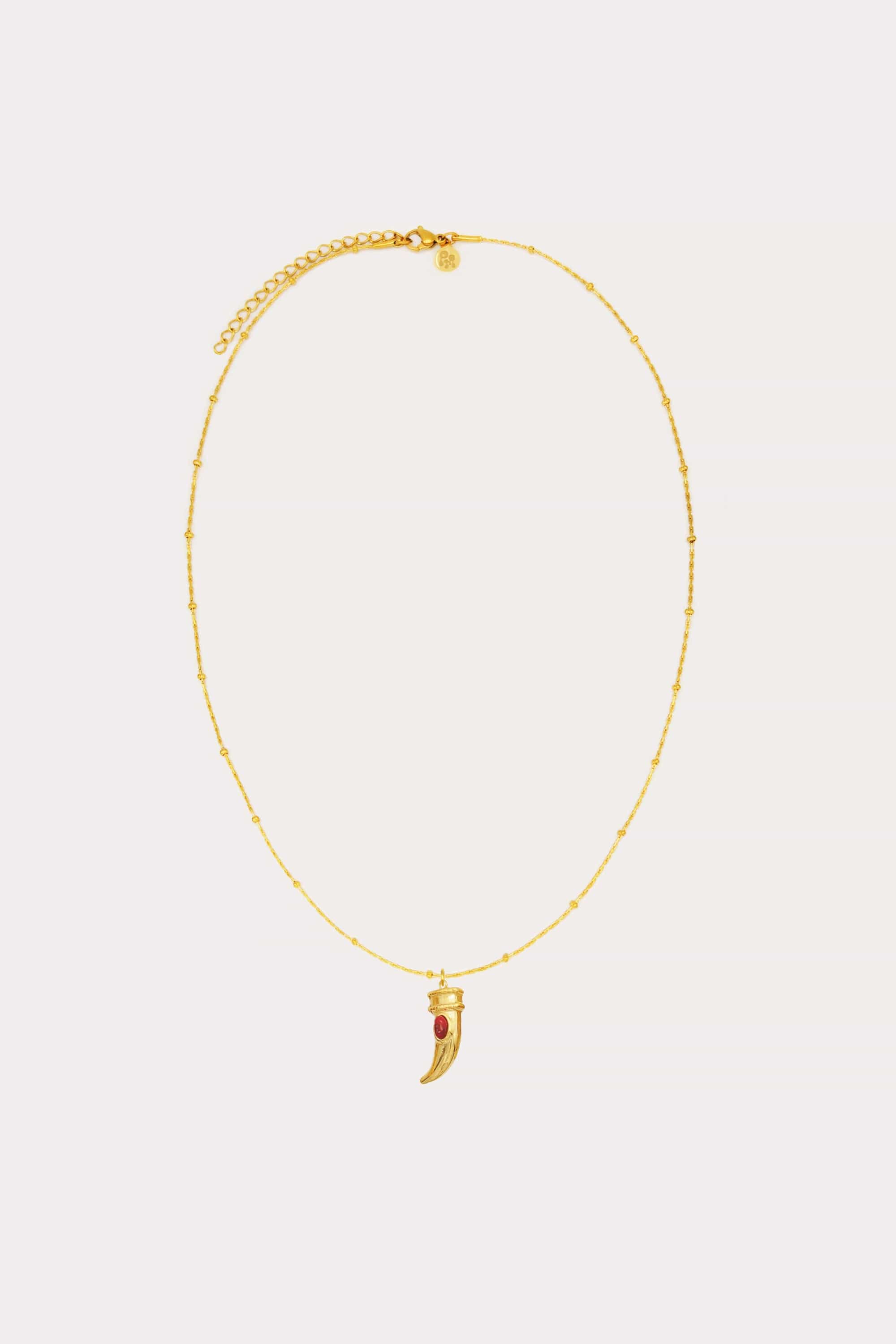 Horn Charm Necklace