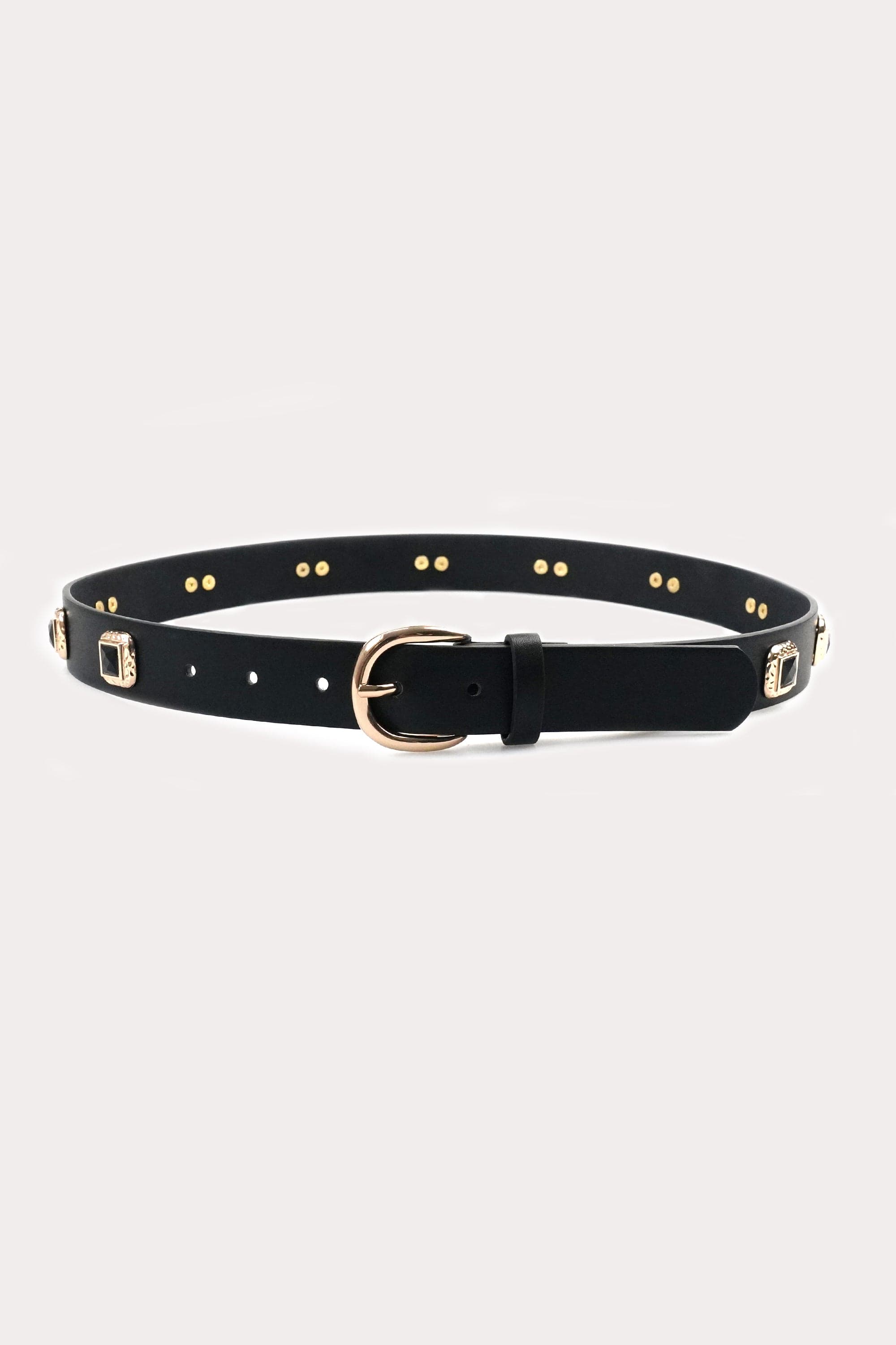 Button Disc Belt
