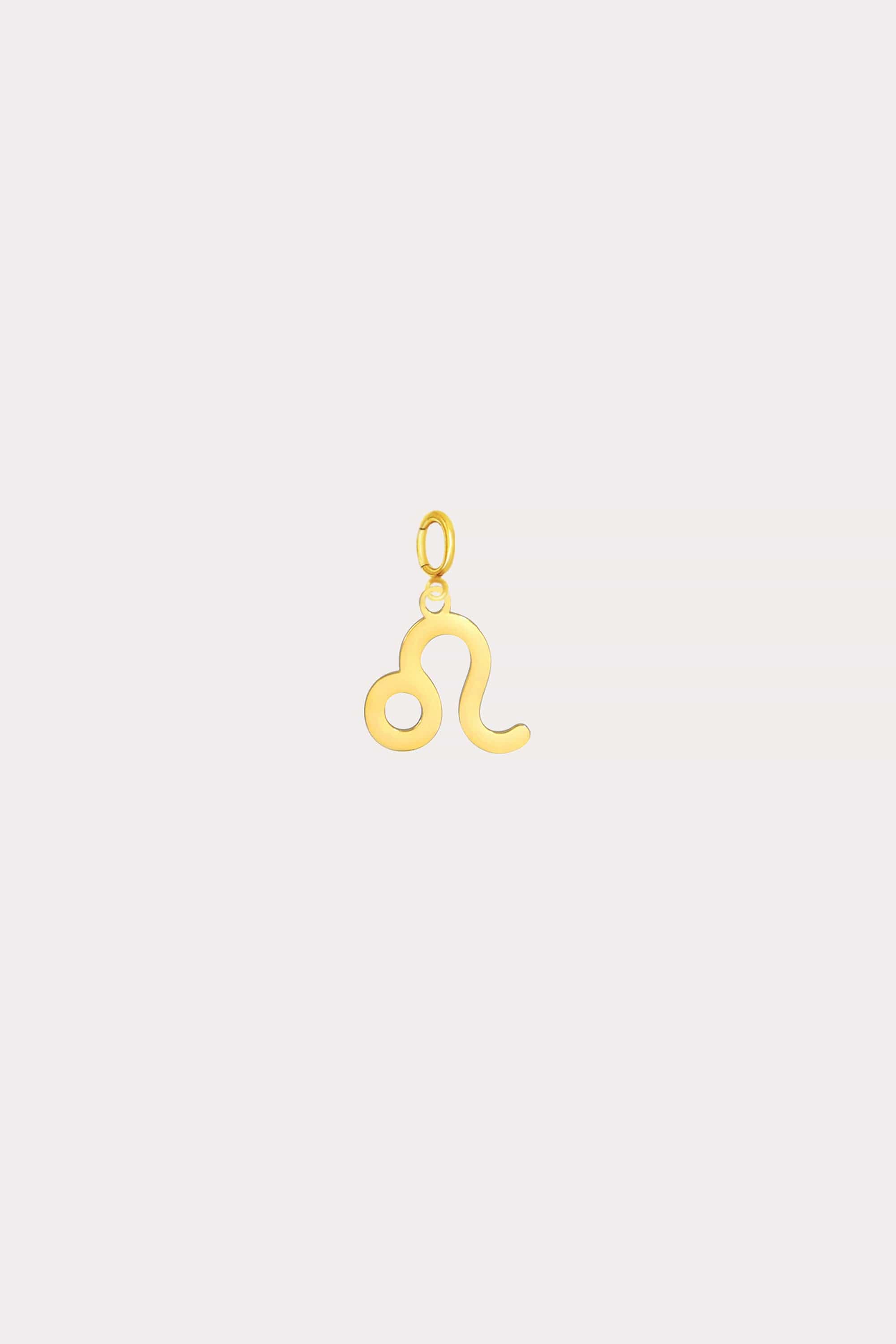Zodiac Charm