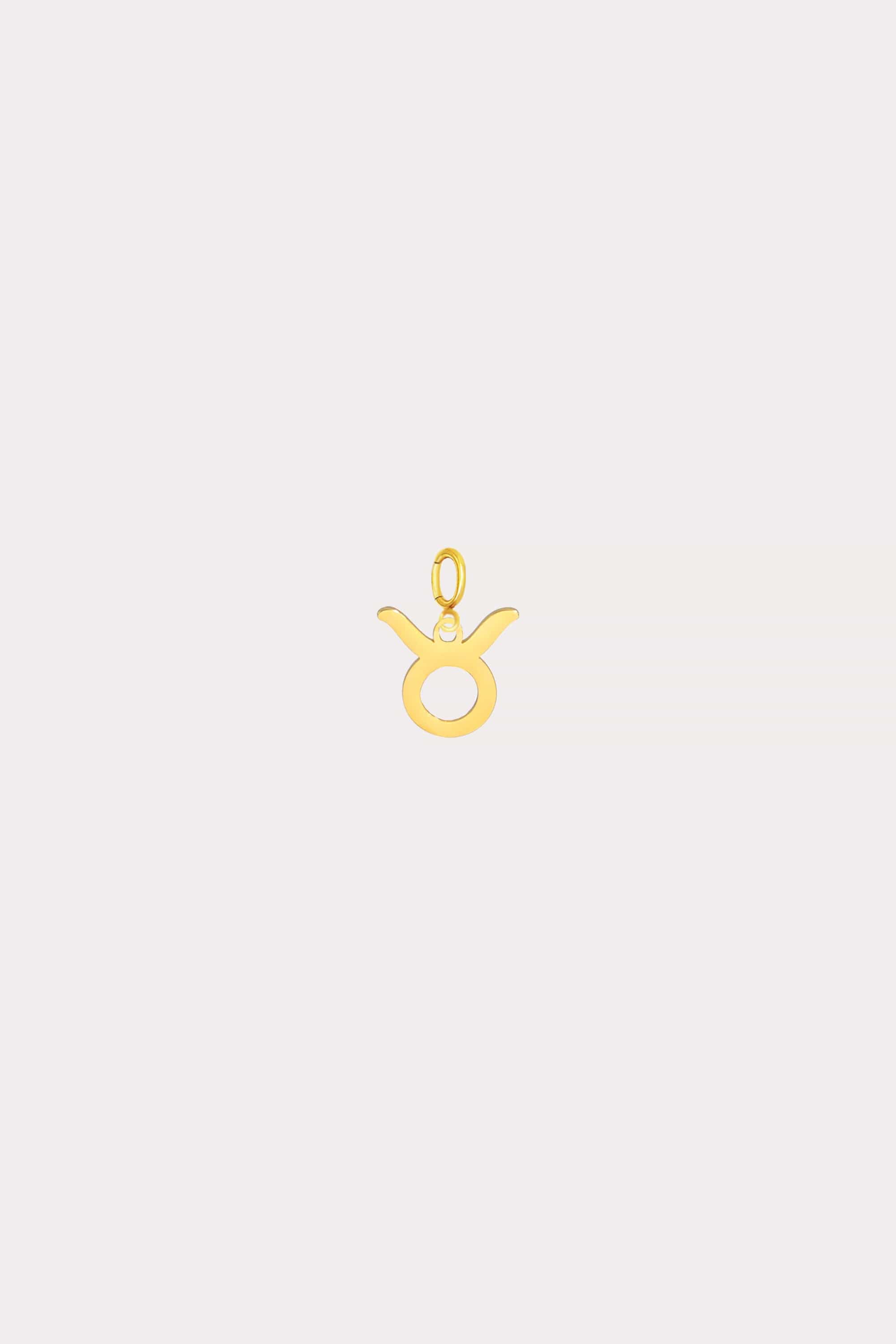 Zodiac Charm